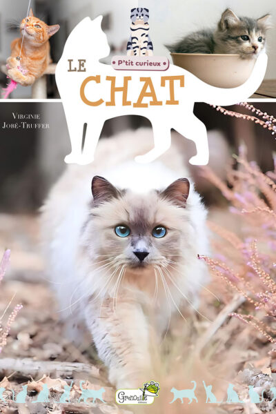 LE CHAT