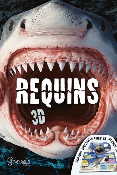 REQUINS 3D