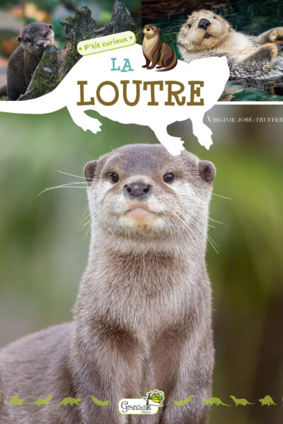 LA LOUTRE - P'TIT CURIEUX