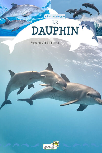 LE DAUPHIN - P'TIT CURIEUX