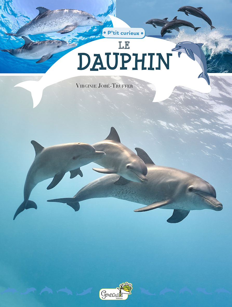 LE DAUPHIN - P'TIT CURIEUX
