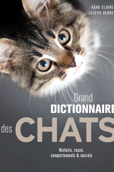 GRAND DICTIONNAIRE DES CHATS