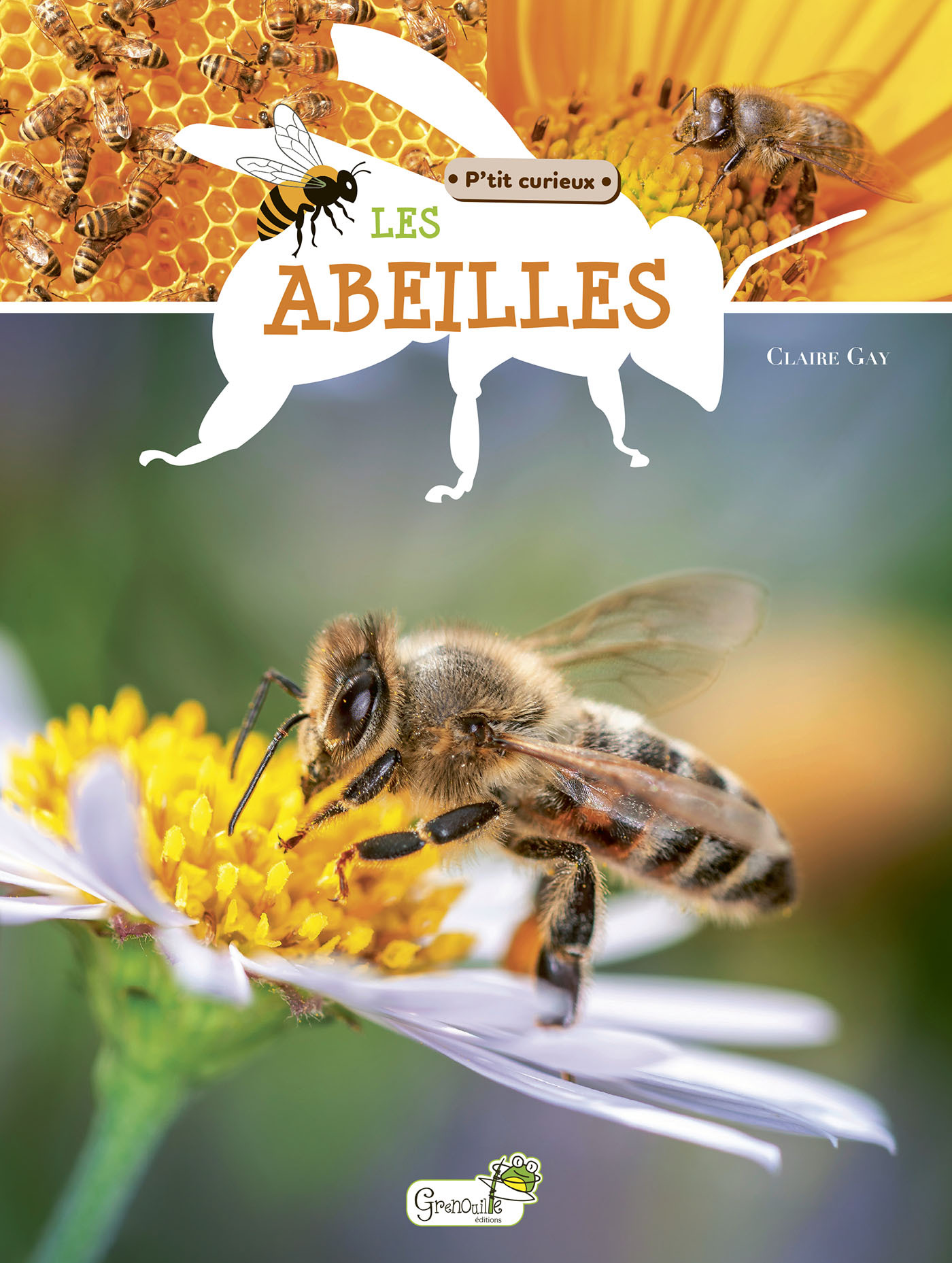LES ABEILLES - P'TIT CURIEUX