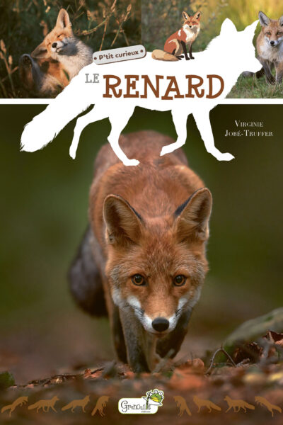 LE RENARD