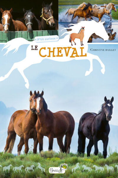 LE CHEVAL