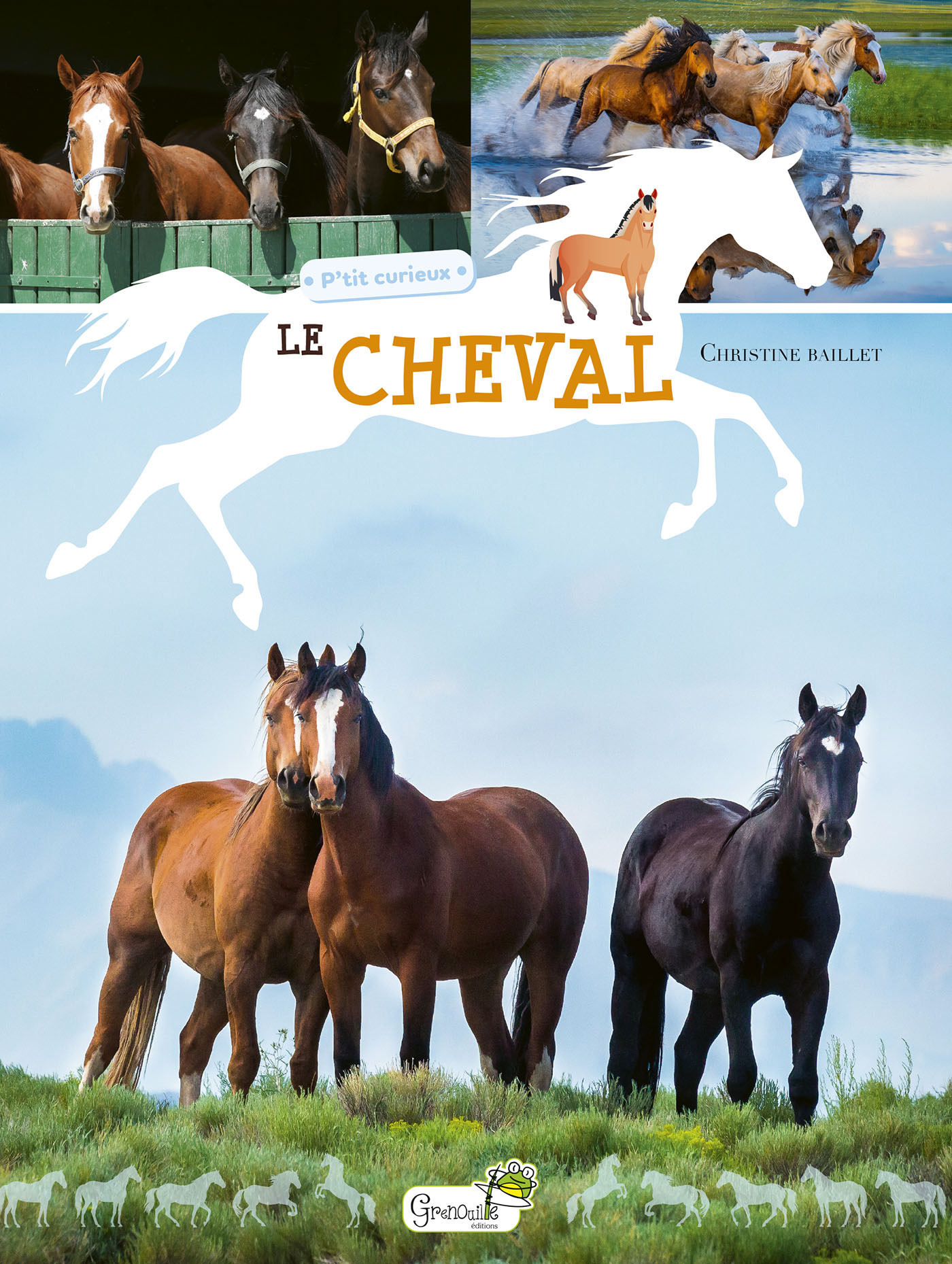 LE CHEVAL