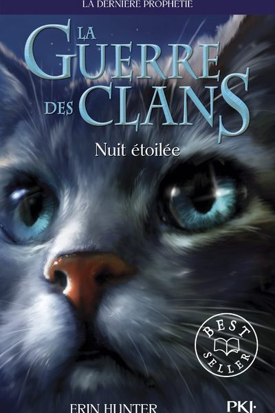 LA GUERRE DES CLANS II T04 NUIT ETOILEE