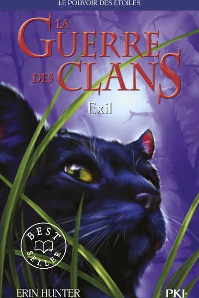 LA GUERRE DES CLANS CYCLE III T03