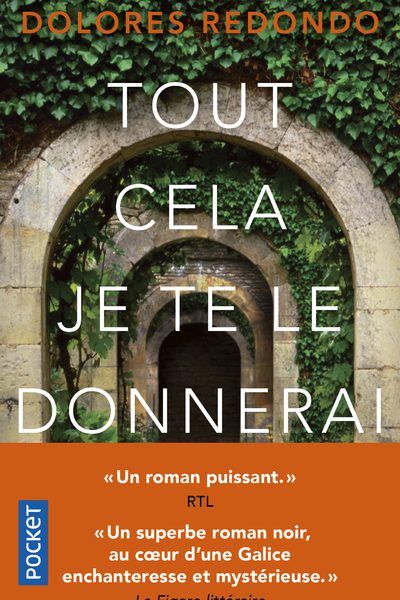 TOUT CELA JE TE LE DONNERAI   17432
