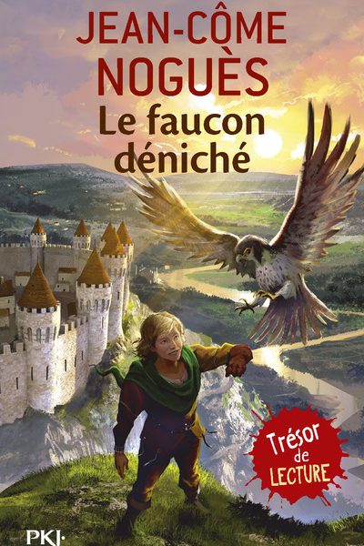 LE FAUCON DENICHE     943