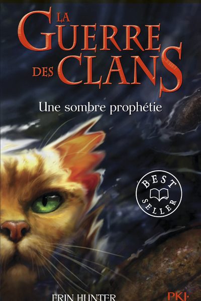 LA GUERRE DES CLANS T06 UNE SOMBRE PROPHETIE