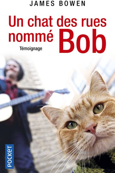 UN CHAT DES RUES NOMME BOB