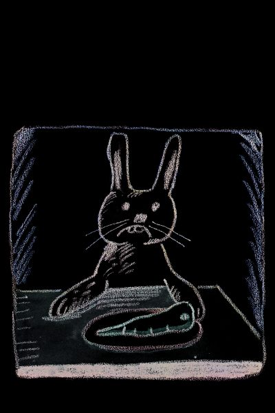 BON APPETIT ! MONSIEUR LAPIN (TOUT CARTON)