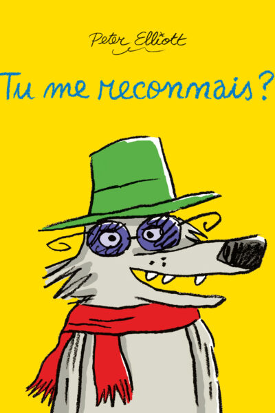 TU ME RECONNAIS ?