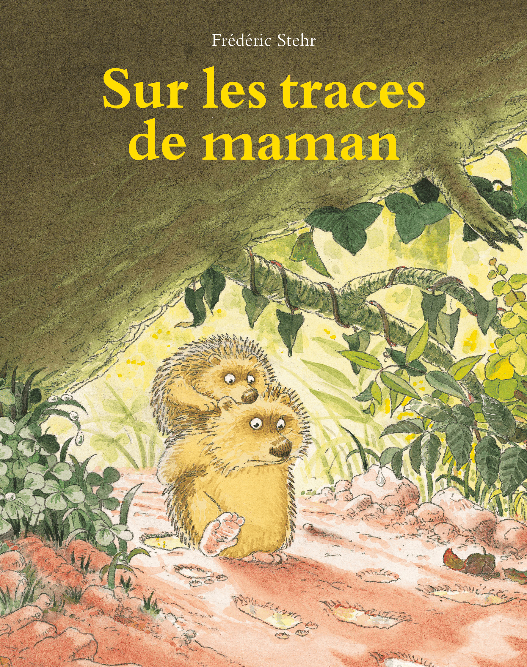 SUR LES TRACES DE MAMAN