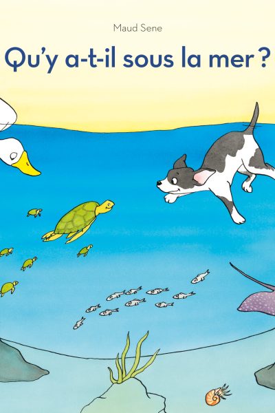 QU'Y A-T-IL SOUS LA MER ?