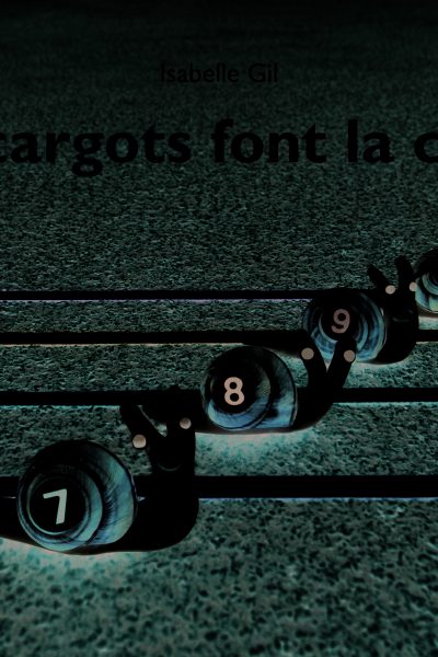 10 ESCARGOTS FONT LA COURSE