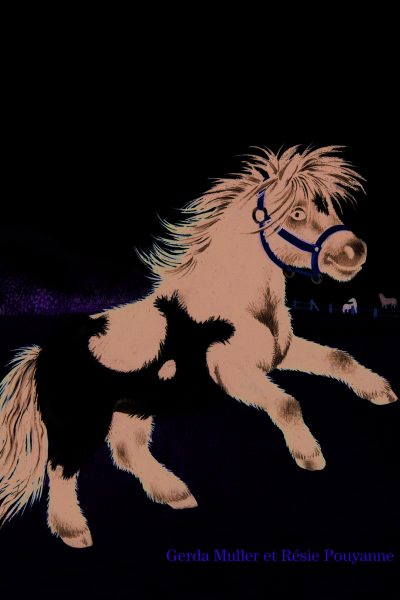 MON PETIT PONEY BRIMBORION