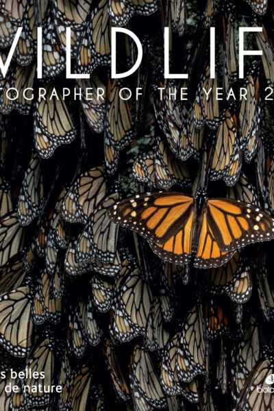 WILDLIFE PHOTOGRAPHER OF THE YEAR