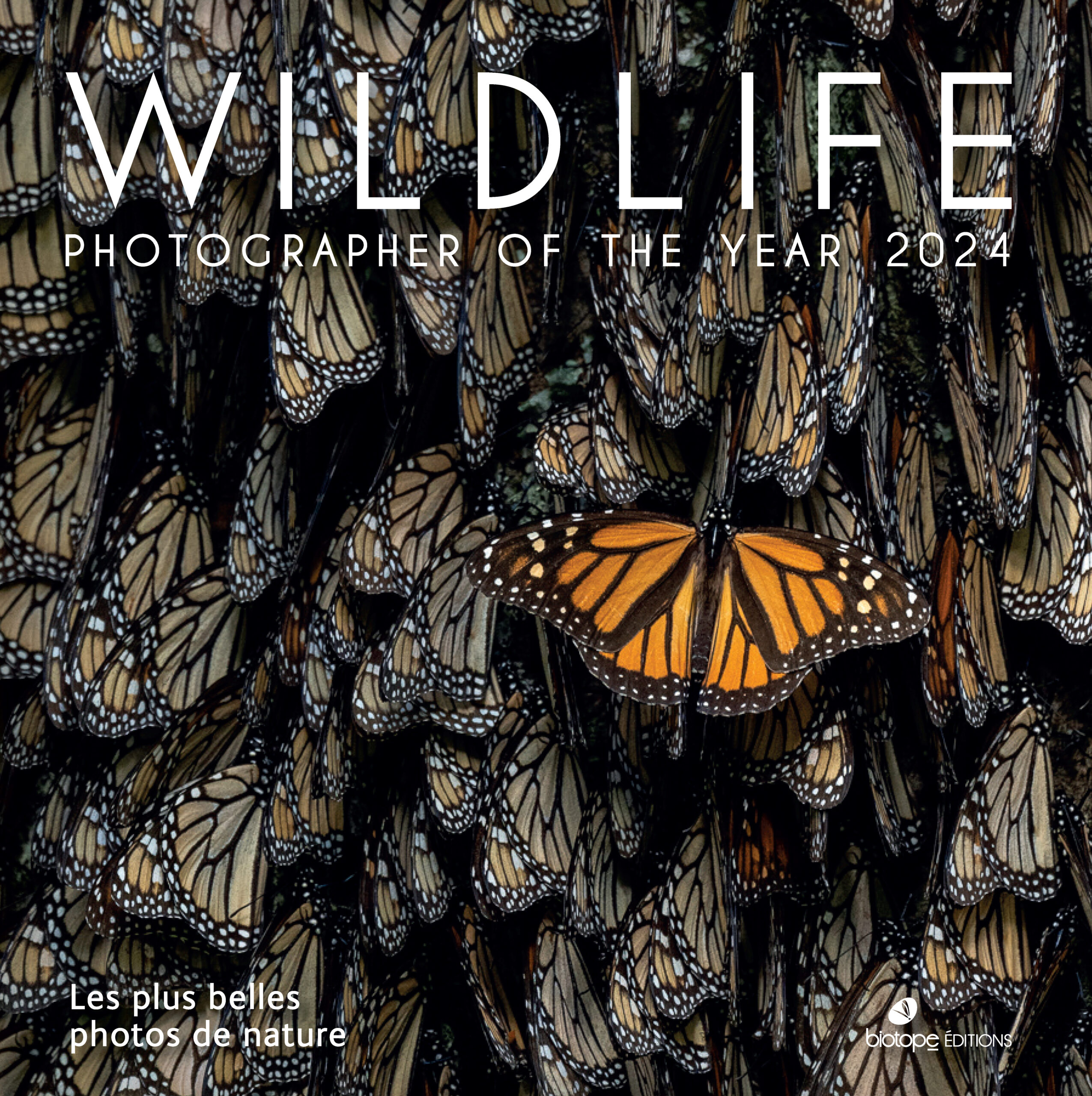 WILDLIFE PHOTOGRAPHER OF THE YEAR