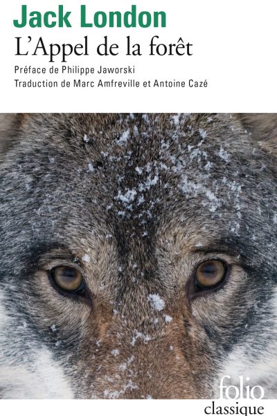 L'APPEL DE LA FORÊT