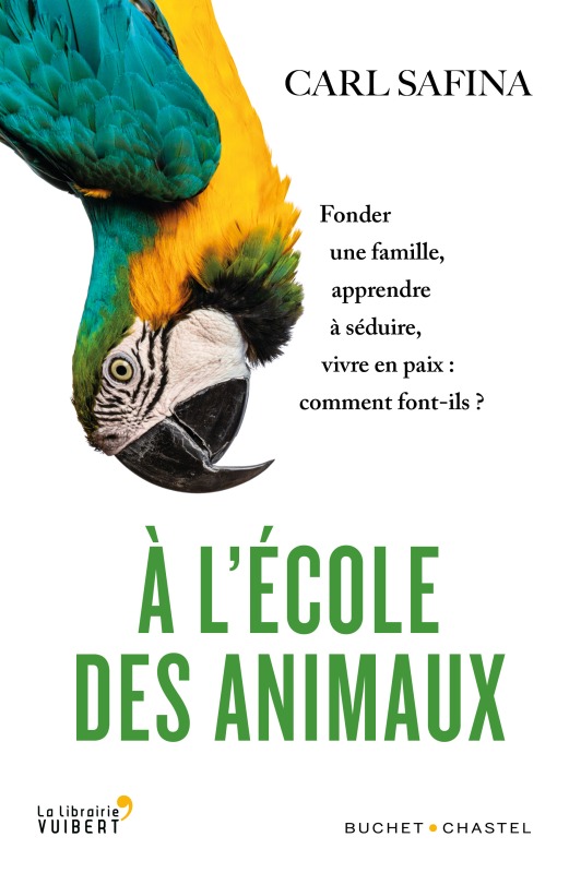 A L'ECOLE DES ANIMAUX - FONDER UNE FAMILLE, APPRENDRE A SEDUIRE, VIVRE EN PAIX : COMMENT FONT-ILS ?
