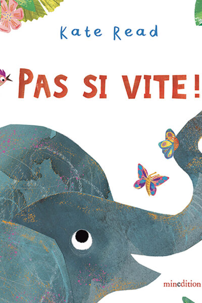 PAS SI VITE !