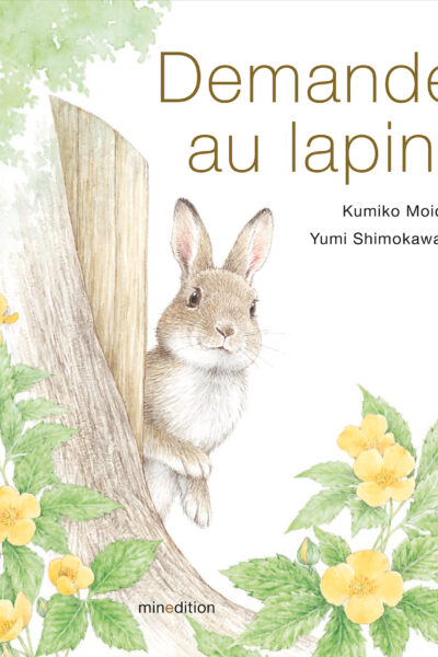 DEMANDE AU LAPIN !
