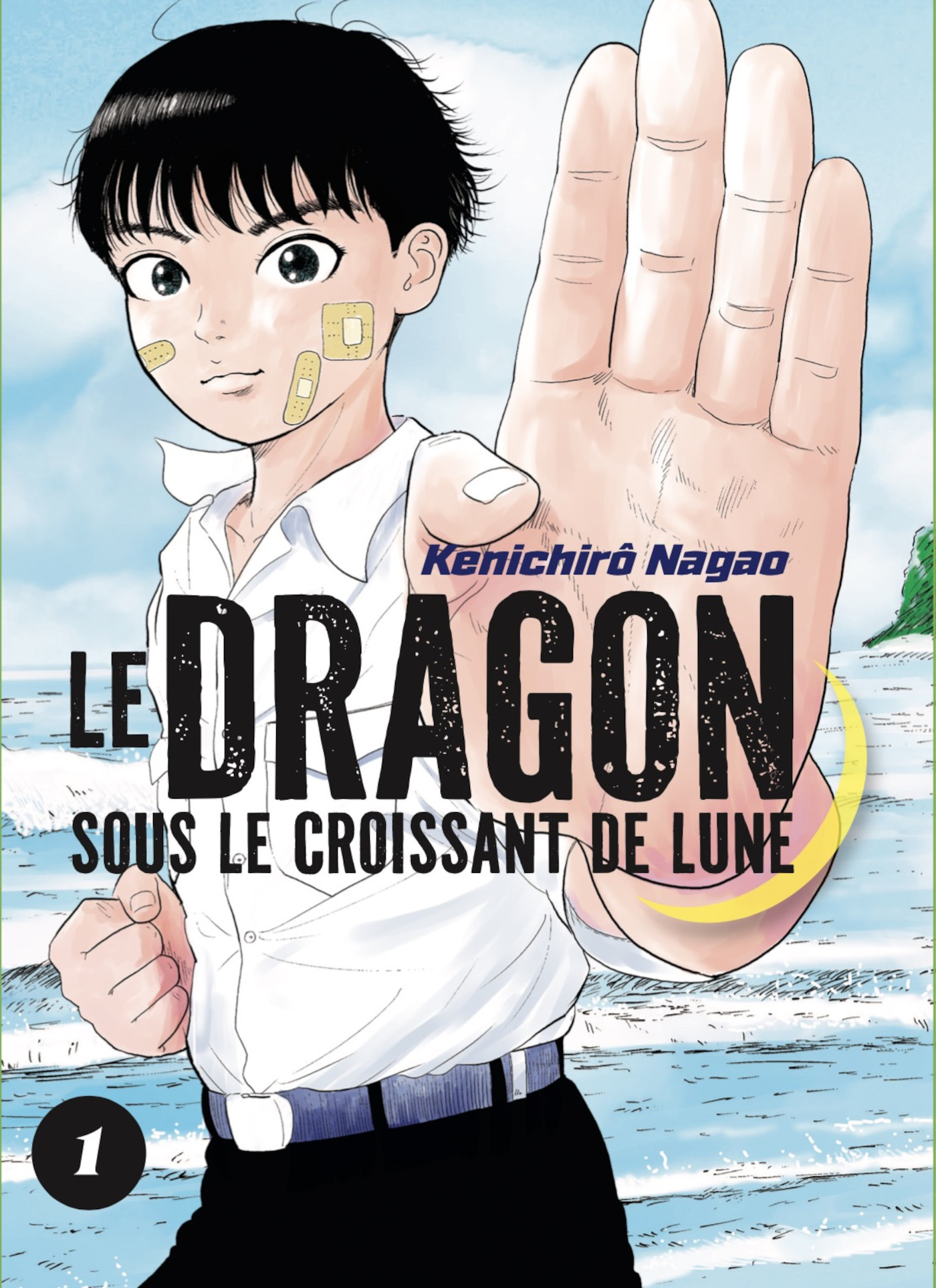 LE DRAGON SOUS LE CROISSANT DE LUNE T01