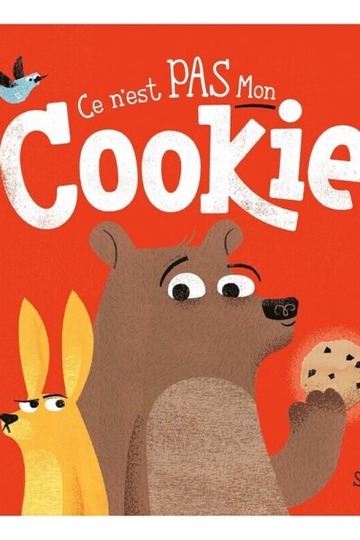 CE N'EST PAS MON COOKIE