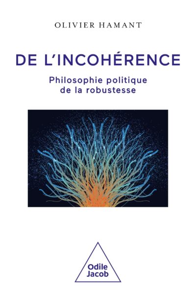 DE L'INCOHERENCE - PHILOSOPHIE POLITIQUE DE LA ROBUSTESSE