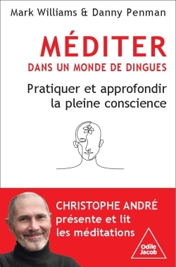 MEDITER DANS UN MONDE DE DINGUES - PRATIQUER ET APPRONDIR LA PLEINE CONSCIENCE
