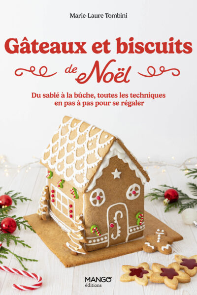 GÂTEAUX ET BISCUITS DE NOËL - DU SABLE A LA BÛCHE, TOUTES LES ECHNIQUES EN PAS A PAS POUR SE REGALER