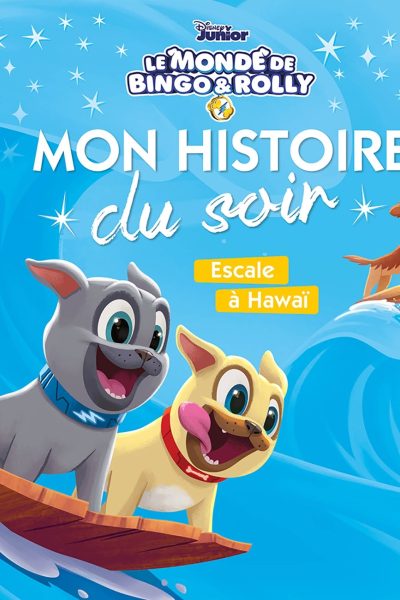 LE MONDE DE BINGO ET ROLLY - MON HISTOIRE DU SOIR - ESCALE A HAWAI