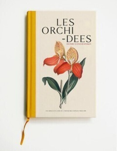 LES ORCHIDEES - HISTOIRE ICONOGRAPHIQUE