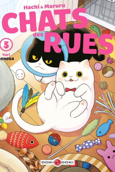 HACHI & MARURU T03 CHATS DES RUES