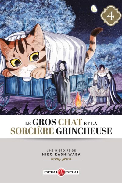 LE GROS CHAT ET LA SORCIERE GRINCHEUSE T04