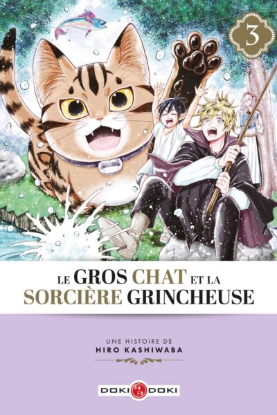 LE GROS CHAT ET LA SORCIERE GRINCHEUSE T03