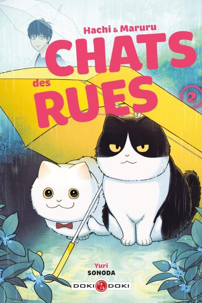 HACHI & MARURU T02 CHATS DES RUES