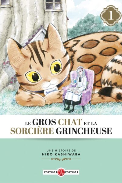 LE GROS CHAT ET LA SORCIERE GRINCHEUSE T01