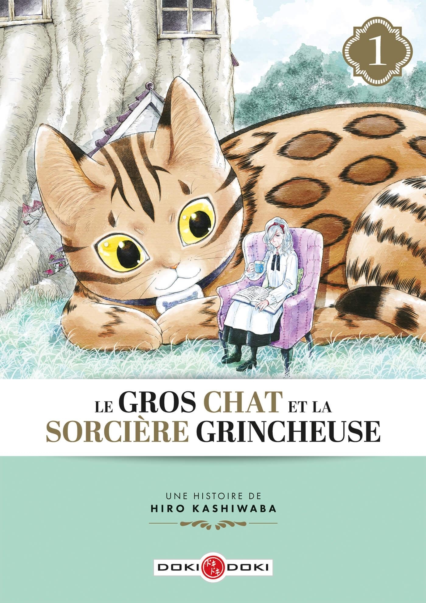 LE GROS CHAT ET LA SORCIERE GRINCHEUSE T01