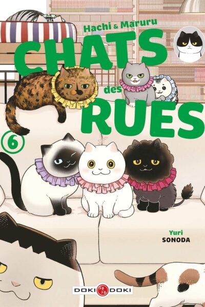 HACHI & MARURU T06 CHATS DES RUES