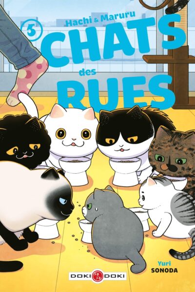 HACHI & MARURU T05 CHATS DES RUES