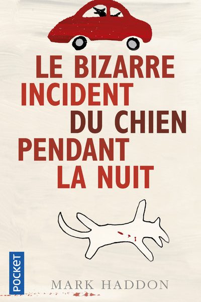 BIZARRE INCIDENT DU CHIEN PENDANT LA NUIT