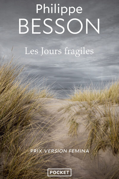 LES JOURS FRAGILES     12028