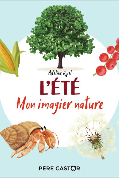 L'ETE - MON IMAGIER NATURE