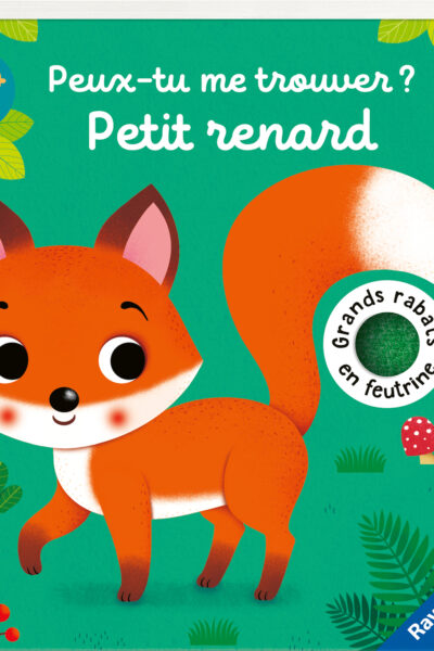PEUX-TU ME TROUVER ? PETIT RENARD