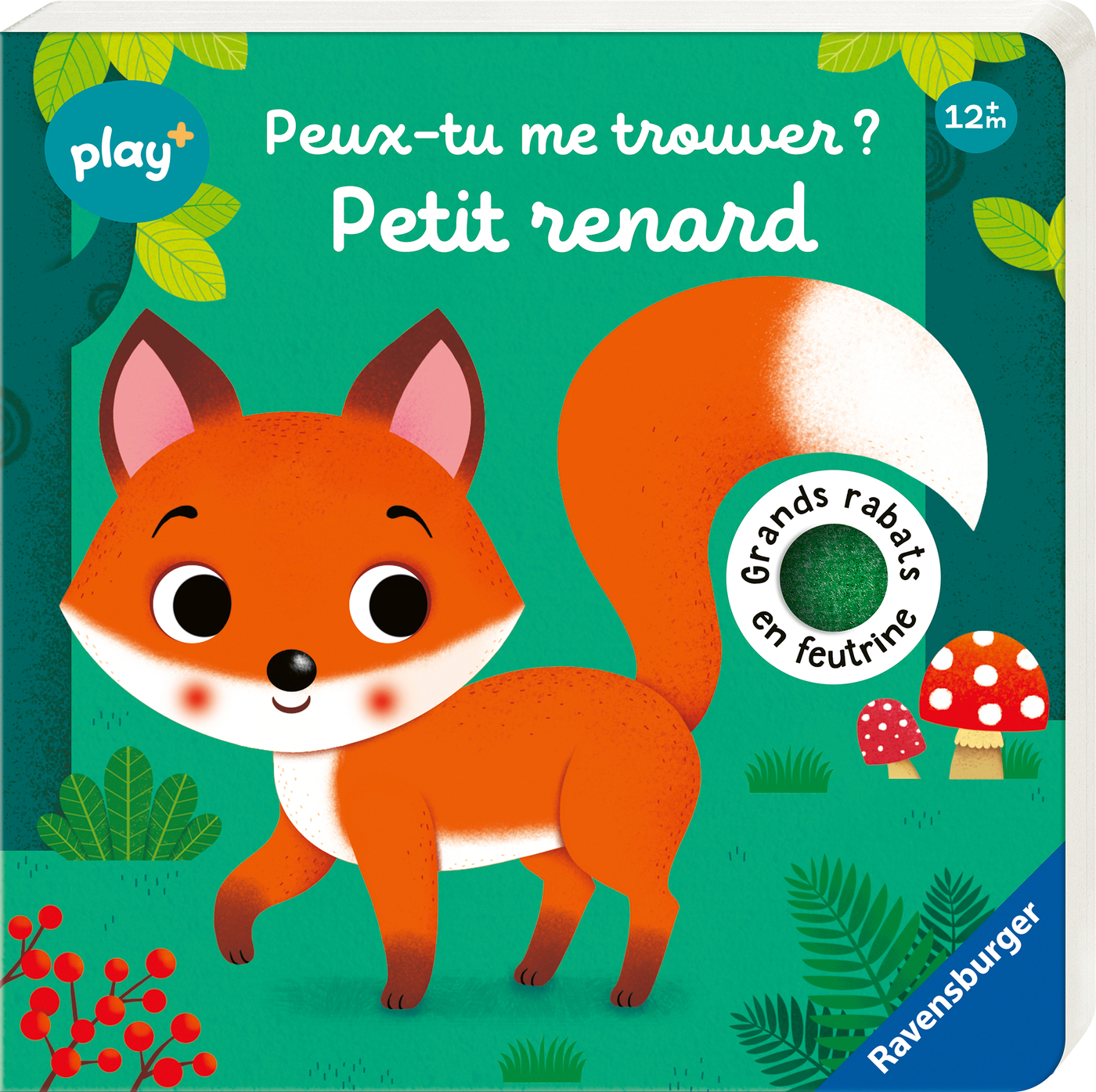 PEUX-TU ME TROUVER ? PETIT RENARD