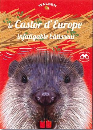 LE CASTOR D'EUROPE, INFATIGABLE BATISSEUR