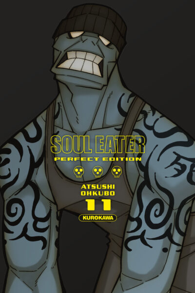 SOUL EATER PERFECT EDITION T11